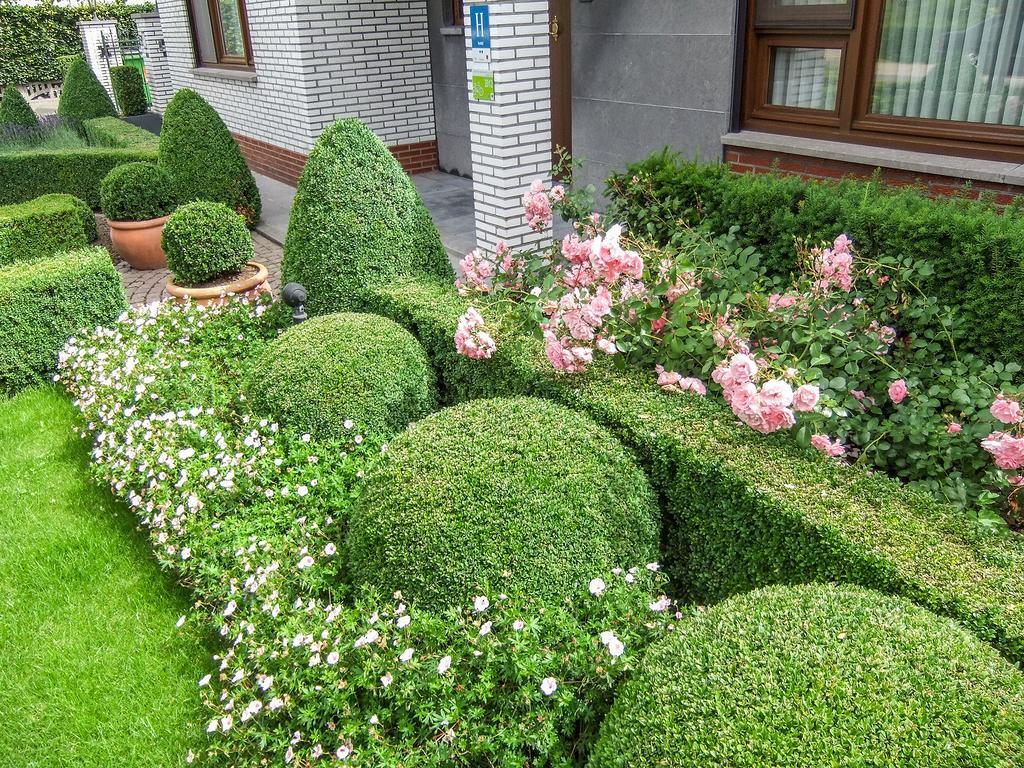 Hotel Wilgenhof Маасейк Екстериор снимка